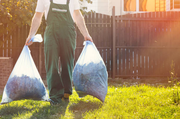 Best Same-Day Junk Removal Services  in Francisville, KY